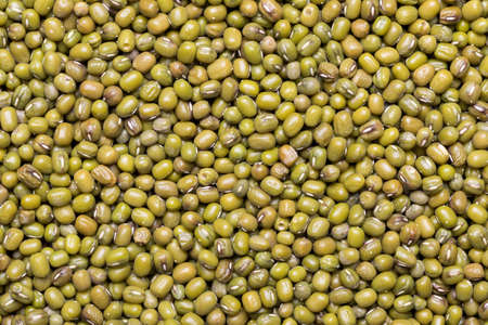 Top view and close up shot of Mung Bean, food backgroundの写真素材