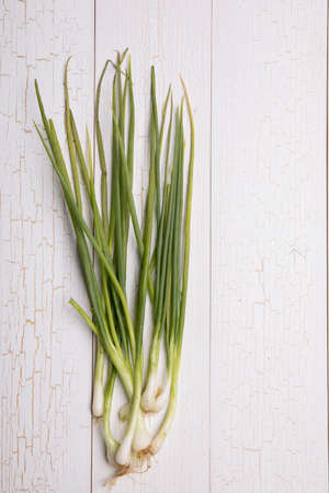 Top view of Scallion on white wood texture backgroundの写真素材