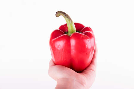 Holding red bell pepper on white backgroundの写真素材
