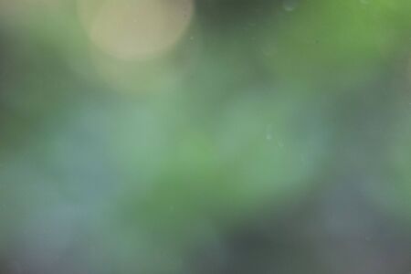 Abstract green nature bokeh backgroundの写真素材