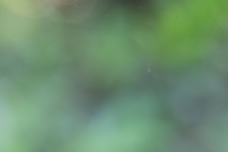 Abstract green nature bokeh backgroundの写真素材