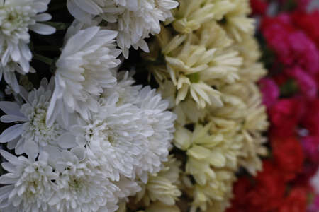Close up of a bouquet of flowersの写真素材
