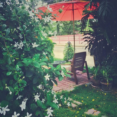 Red Umbellaの素材