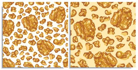 Vector seamless pattern with hand-drawn realistic walnuts, like paints, juicy colors,looks appetizing , fresh, tasty, nut half, pieces of nut, natural colors. Summer wild nuts ripe, scattered, tasty.のイラスト素材