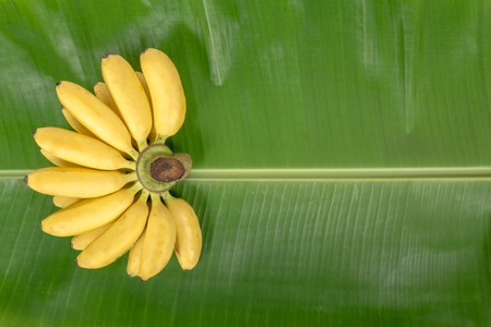 Banana on green leaf horizontallyの写真素材