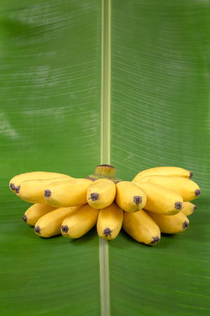 Banana on green leaf verticallyの写真素材