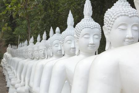 Row of white Buddha statueの写真素材
