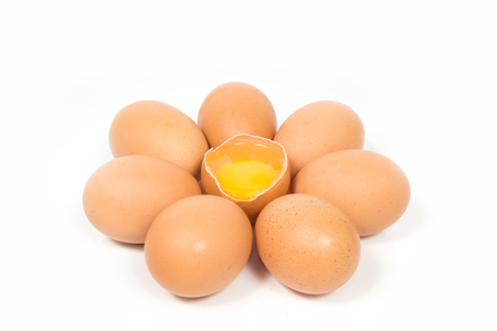 Eggs and the yolk on white backgroundの写真素材