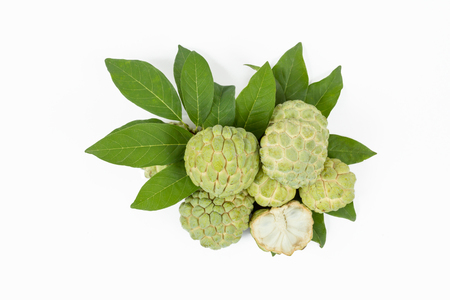 Custard Apple isolated on white backgroundの写真素材