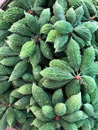 Bitter gourd in a marketの素材