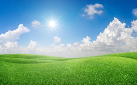 beautiful green grass hills on blue sky background for a nature conceptの写真素材