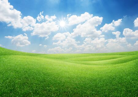 beautiful green grass hills on blue sky background for a nature conceptの写真素材