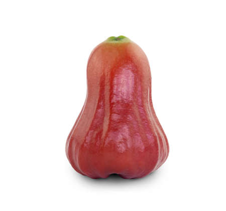 Isolated rose apple on white background with clipping pathの写真素材