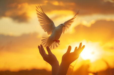 White dove in hand on sunset sky background. Freedom and peace conceptの素材