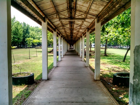 pathway at gardenの素材