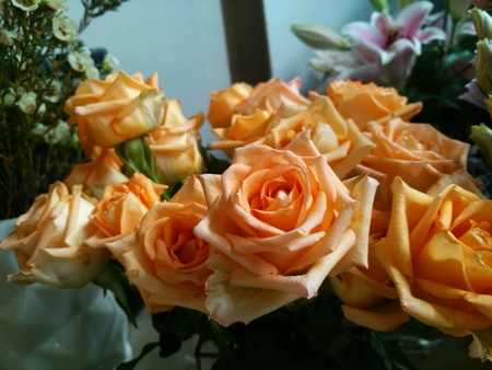 Orange roses Bouqueの素材