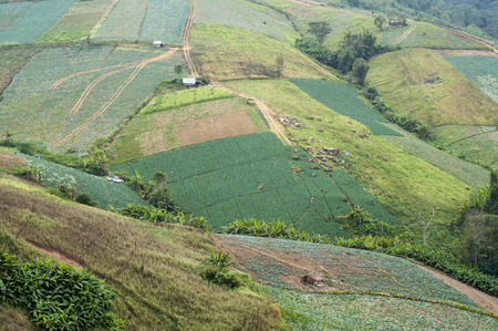 agricultural lands on mountain, the village on the mountain. natural landscape, thailand