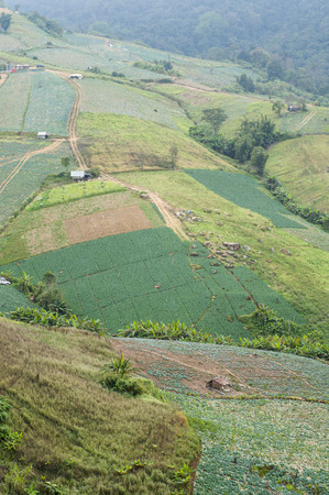 agricultural lands on mountain, the village on the mountain. natural landscape, thailandの写真素材