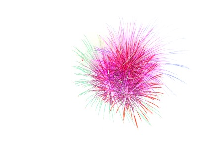 Beautiful colorful firework display for celebration happy new year and merry christmas on backgroundの写真素材