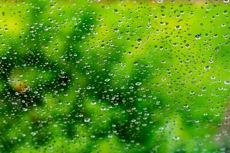Rain / Water drop of rain on glass with blur green tree outdoor backgroundの写真素材