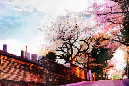 water color painting Japanese cherry Blossom (Sakura tree) spring season or hanabi season in japan, outdoor pastel color background with artistic technical effect - water color painting.の写真素材