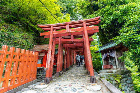 Saga, Japan - May 1, 2019 -  Torii (Japanese red wooden gate) of  Yutoku Inari Shrine  is the third largest of Japanese architecture temple dedicated to Inari in Kashima city, Saga, Japan.のeditorial素材