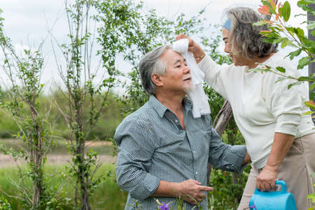 Happy asian senior couple is enjoy life with health care for plants trees at outdoor garden after retirement lifestyle.の写真素材