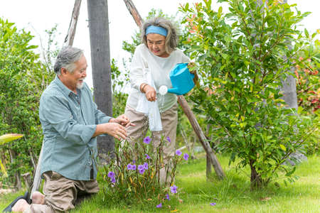 Happy asian senior couple is enjoy life with health care for plants trees at outdoor garden after retirement lifestyle.の写真素材