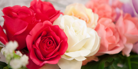 blur of multicolor roses bouquet close upの写真素材