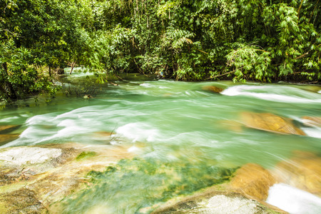 Mountain river flowing through the green forest. Stream in the wood.の写真素材