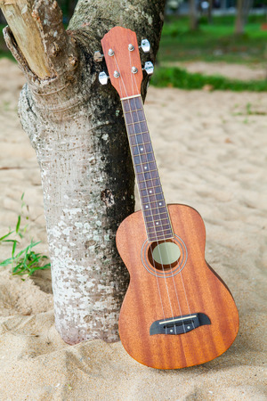 Ukulele on the send beach の写真素材