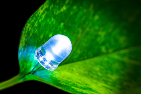 LED lamp with green leaf, ECO energy save World concept lamp light bulb and leaves  Eco friendly energy saving bulbの写真素材