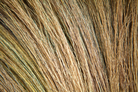 Broom made from grass to tie together.の写真素材