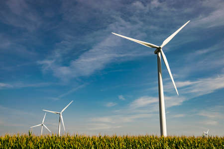 Shot of three wind turbines installed in a corn frield with cloudy sky in the background.