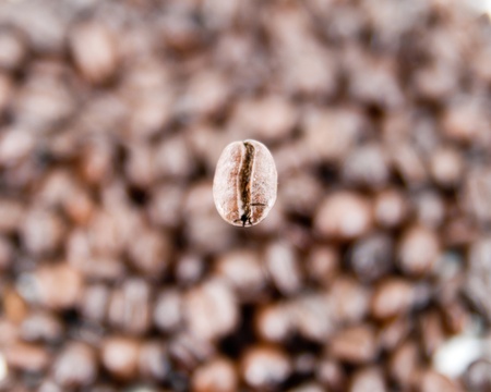 Single coffee bean on a background of blurred coffee beansの写真素材