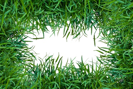 Grass frame isolated on white background 