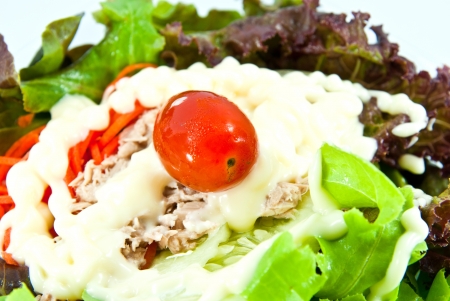 Close up of vegetable salad with tuna の写真素材