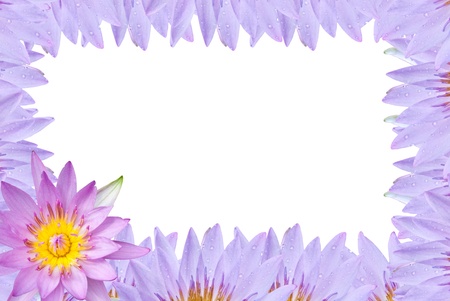 Lotus frame on white backgroundの写真素材