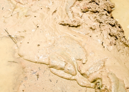 Close up pattern of mud