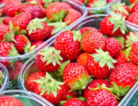 Fresh strawberries in the marketの写真素材