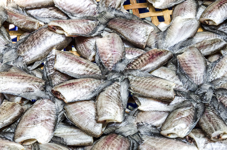 Dried fishの写真素材