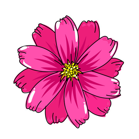 Pink cosmos flower isolated on white background. Hand drawn vector illustration.のイラスト素材