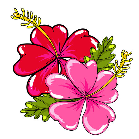 Illustration of Hibiscus flower with leaves on a white backgroundのイラスト素材