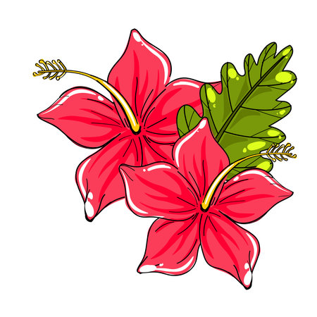Red hibiscus flower isolated on white background. Vector illustration.のイラスト素材