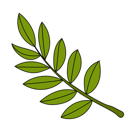 olive branch icon image vector illustration design  black and green colorのイラスト素材