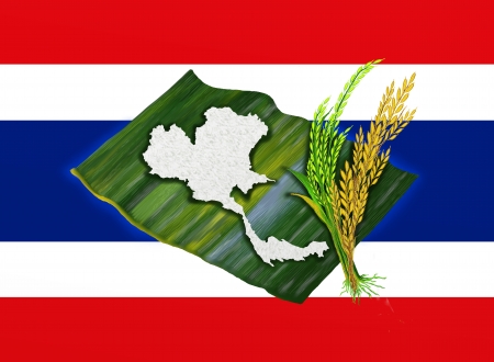 Ripe Rice, Green Rice and Boiled Rice of Thailand s Map Shape on Banana Leafon, on Thailand s National Flagの写真素材