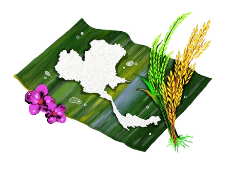 Ripe Rice, Green Rice and Boiled Rice of Thailand s Map Shape with Violet Orchids, on Banana Leafの写真素材