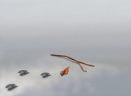 Hand Drawing of Animal Tracks with Dry Twigs and Dry Leaf, Laying on Grey Sand Background with Copyspaceの写真素材