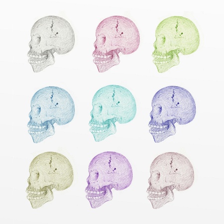 Hand Drawing Side View of Human Skull with Various Colors, Isolated on White Backgroundの写真素材