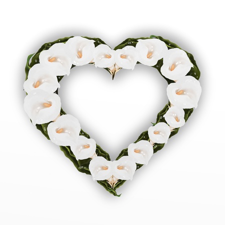 A Beautifully Heart Frame of White Calla Lily Flower, Isolated on A White Background, Apply Wonderful Calla Lily Frames to Your Photos  の写真素材